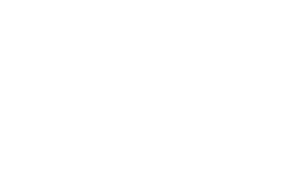 logo light
